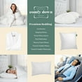 thumbnail image 5 of ComfyDown Toddler Pillow - Filled with 800-FP Goose Down, 300-TC Cotton Cover Standard, 5 of 7