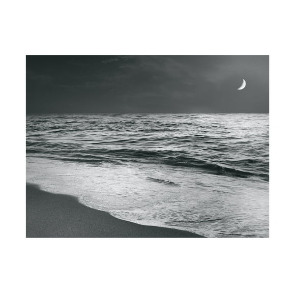 Trademark Fine Art 'Moonrise Beach Black and White' Canvas Art by Sue Schlabach