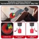 thumbnail image 5 of Thigh Master Exerciser Pelvic Floor Muscle Strengthening Device for Women, 5 of 5