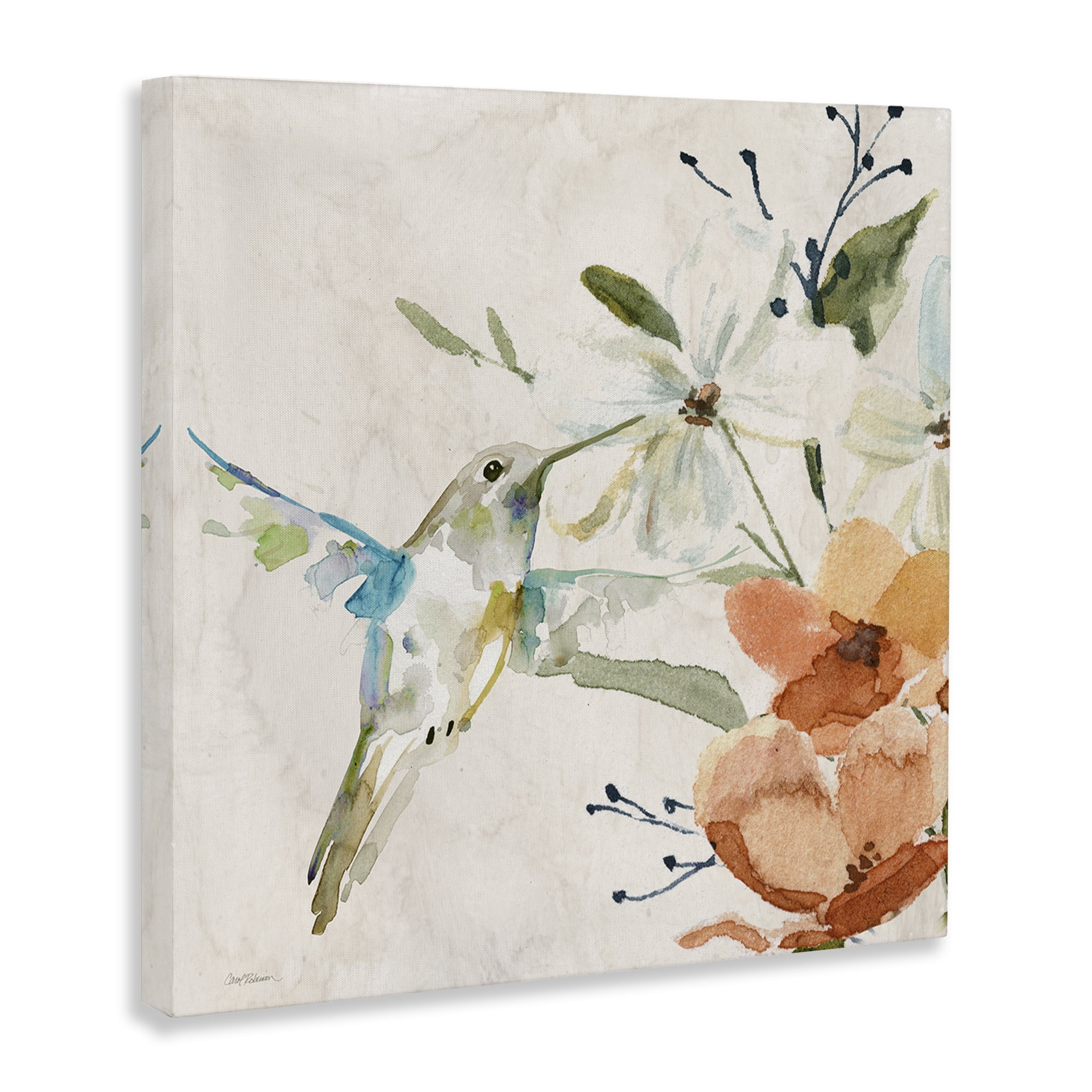 Stupell Industries Soft Florals & Hummingbird Plants & Flowers Painting Wrapped Canvas Art Print Wall Art, 17 x 17