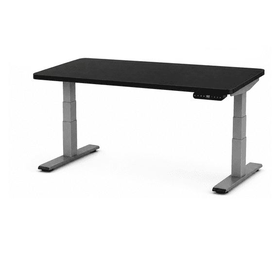 Rise Up 3-stage Dual Motor Electric Standing Desk, 48 x 30 Black Bamboo Desktop, Gray Frame