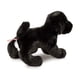 thumbnail image 5 of Peluche para perro de laboratorio Douglas Brewster, color negro, 30 cm, 5 of 6