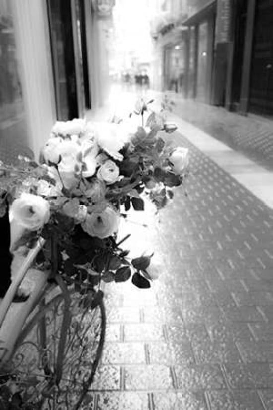 Flower Bike Canvas Art - Acosta ()