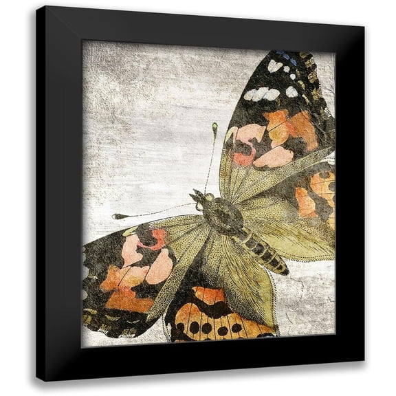 Kimberly, Allen 12x14 Black Modern Framed Museum Art Print Titled - Vintage Butterfly 2