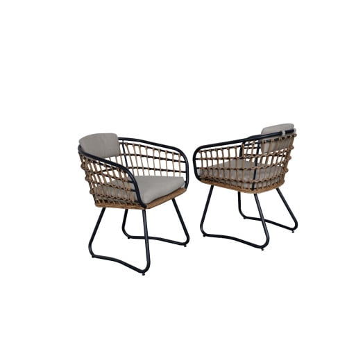 Outdoor Wicker Dining Chairs Set of 2, Patio Dining Chairs with Cushions, Rattan Dining Armchairs for Lawn, Garden, Poolside, Backyard, Porch, Beige
