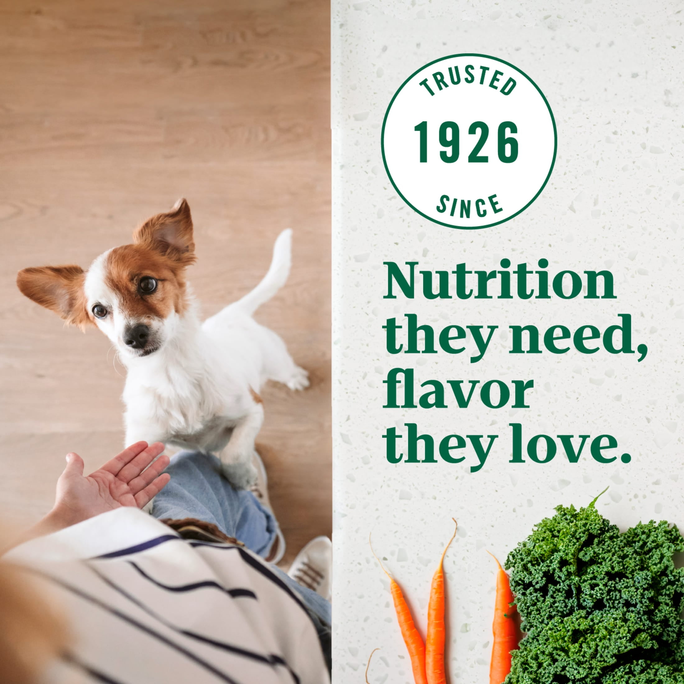 Nutro Ultra Adult Small Breed Dry Dog Food, Chicken, Lamb and Salmon Protein Trio, 22 lb Bag