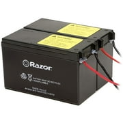 Razor E200/E300 Batteries
