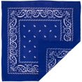 thumbnail image 2 of Large Cotton Paisley Bandana (22" x 22"), 2 of 3