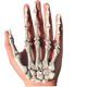 thumbnail image 5 of 2 accesorios de decoración de esqueletos de Halloween manos de esqueletos de Halloween - manos de esqueletos de plástico cortadas de tamaño real para, 5 of 5