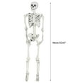 Halloween Clearance Halloween Skeleton Prop Deco Halloween Skeleton
