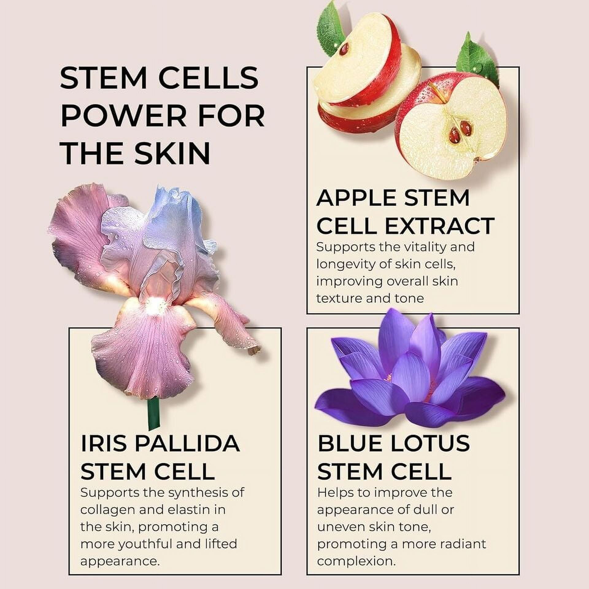 Collagen Face Cream with Airless Pump Anti-Aging Botanical Collagen Face Cream with Airless Pump Anti-Aging Botanical