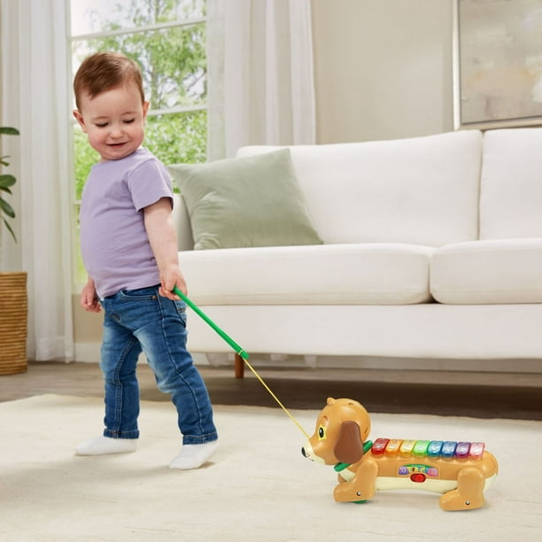 VTech Zoo Jamz Doggy Xylophone - Infant Musical Toy - English