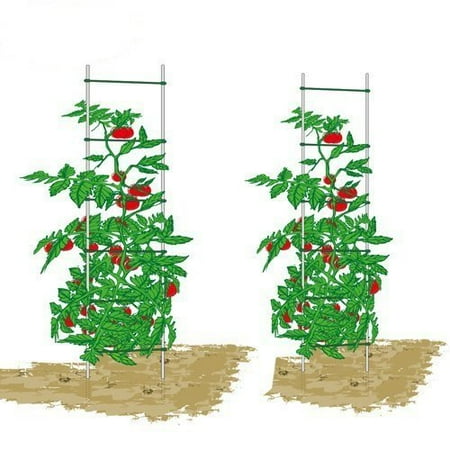 Expandable Trellis Fencing EcoTrellis,Expandable Trellis,Plant Ladder, Support Ladder, Tomato Trellis,Cucumber Trellis,5Ft High,2 Sets ()