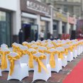 thumbnail image 5 of 10 PCS Satin Chair Sashes Ties Chair Bow Bows Chair Tie Back Chair Decoration Wedding Banquet Party Chair Bows, 5 of 8