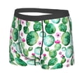 thumbnail image 5 of Goofa Cactus Plants Printed Men's Boxer Briefs Underwear, Moisture-Wicking Underwear, Trunk,Soft and Breathable Cotton Underwear-Large, 5 of 9