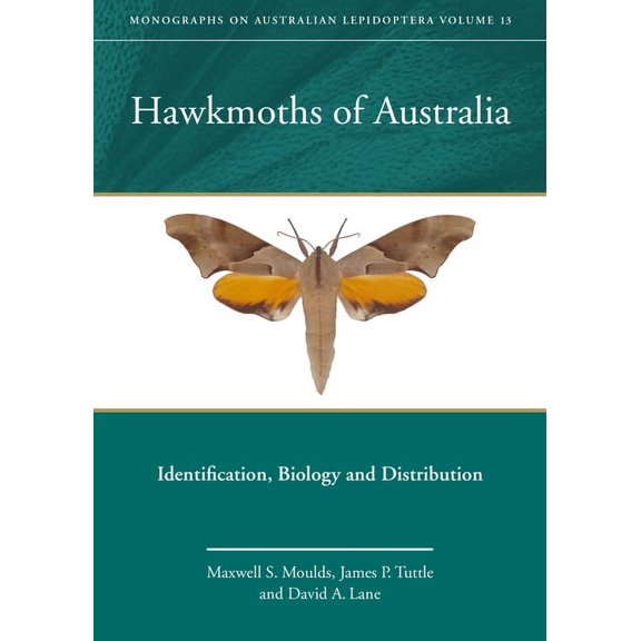 Monographs on Australian Lepidoptera Hawkmoths of Australia: Identification, Biology and Distribution, Book 10, (Hardcover)