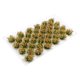 thumbnail image 4 of Cluster de Hierba Paisaje Flor Modelo Perfecl 35 1:48 1:72 1:87 Estilo E, 4 of 7