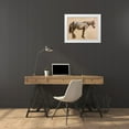 thumbnail image 3 of Agasse, Jacques-Laurent 18x15 White Modern Wood Framed Museum Art Print Titled - Study of a Grey Horse 1800, 3 of 4
