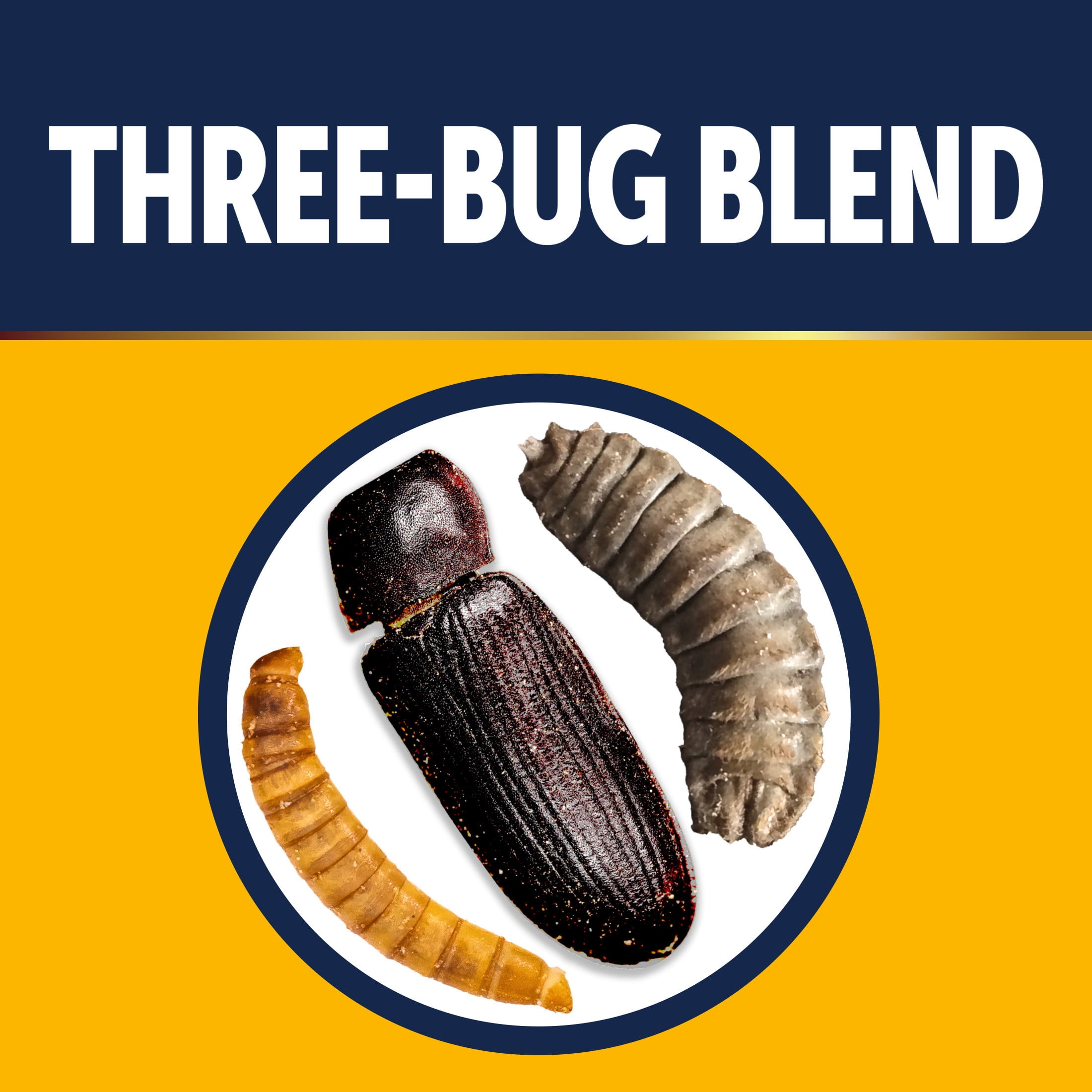 3-D Pro Blends Bugs N Berries® Wild Bird Food, Wild Bird Seed Blend, 5 Pounds