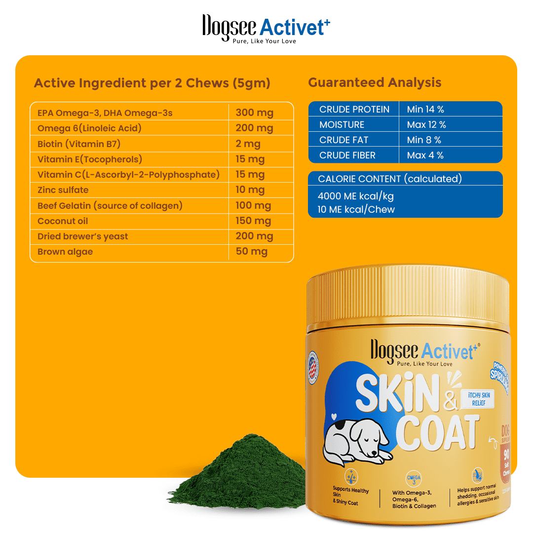 Dogsee Activet+ Dog Skin Coat Supplement Chews, with Omega 3, Omega 6, Biotin & Collagen, Itchy Skin & Shiny Coat Support, Chicken Flavor – 90 Chews