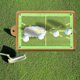 thumbnail image 2 of Estera de entrenamiento Pink-Golf para Golpes con Sensor de swing Estera de impacto de golf premium, 2 of 5