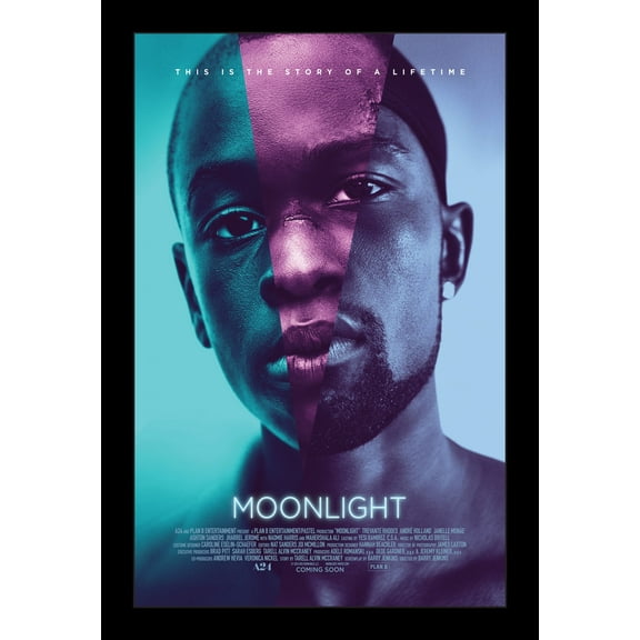 MOONLIGHT- 11x17 Framed Movie Poster