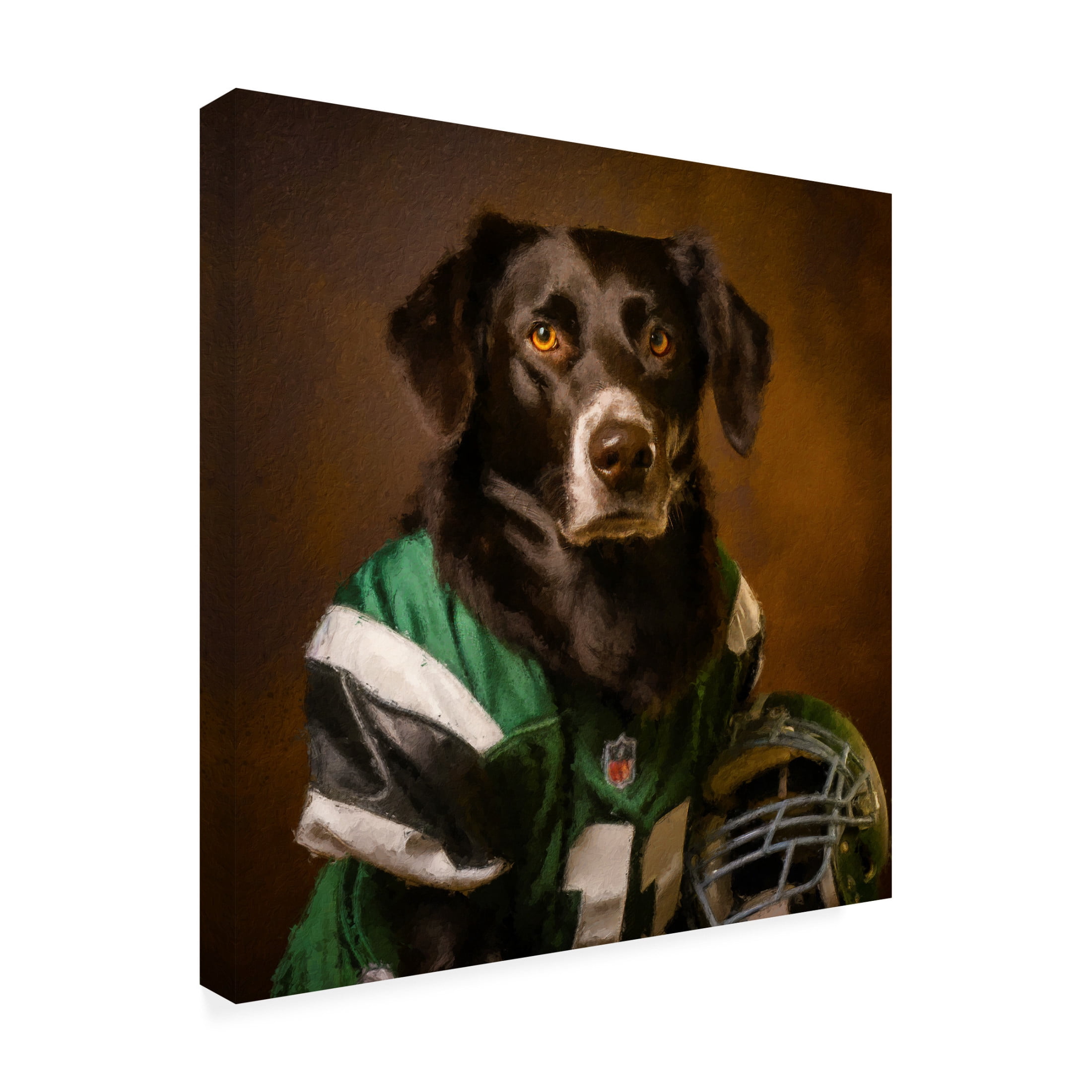 Canvas Wall Art - Sean Parnell 'Football 3' Wall Art for Living Room, Bedroom, or Office Décor by Trademark Fine Art - 35 x 35 Inches