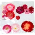 thumbnail image 3 of ScrapRack Basic Storage Pages 10/Pkg-Fantastic 5, 3 of 5