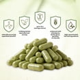 thumbnail image 4 of ZHIBENON Moringa Oleifera Capsules 90 Counts 95% Pure 100% Natural Gluten-Free for Immune & Digestive Health Support, 4 of 8