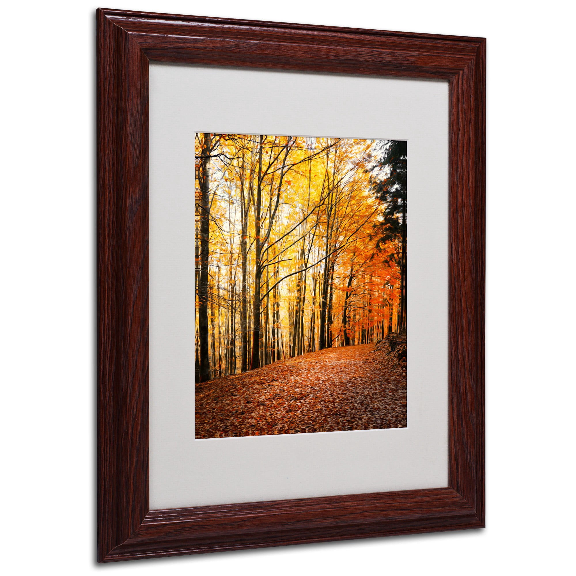 Trademark Fine Art "Yellow Moment" Canvas Art by Philippe Sainte-Laudy, Wood Frame