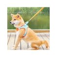thumbnail image 2 of 1 Set Of Pet Harness Strap (back And Chest) With Reflective And Breathable Design, Including Harness And Traction Rope For Walking Dogs And Cats Outdo, 2 of 5