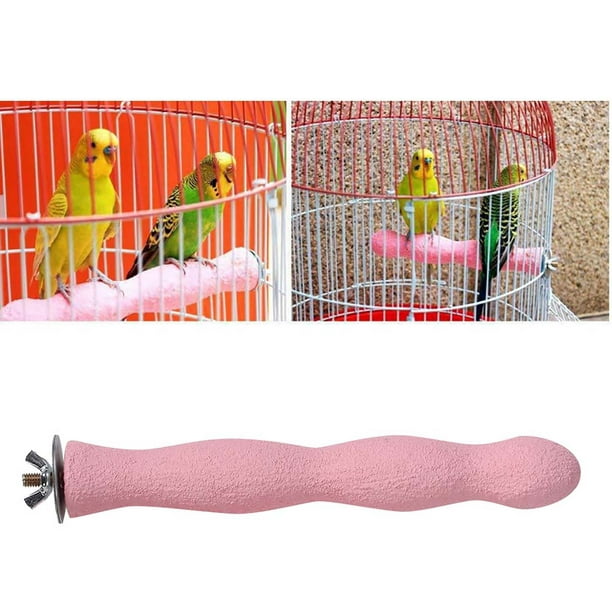 Claw And Beak Grinding,Bird Claw And Beak Scrub Station Rod Cage