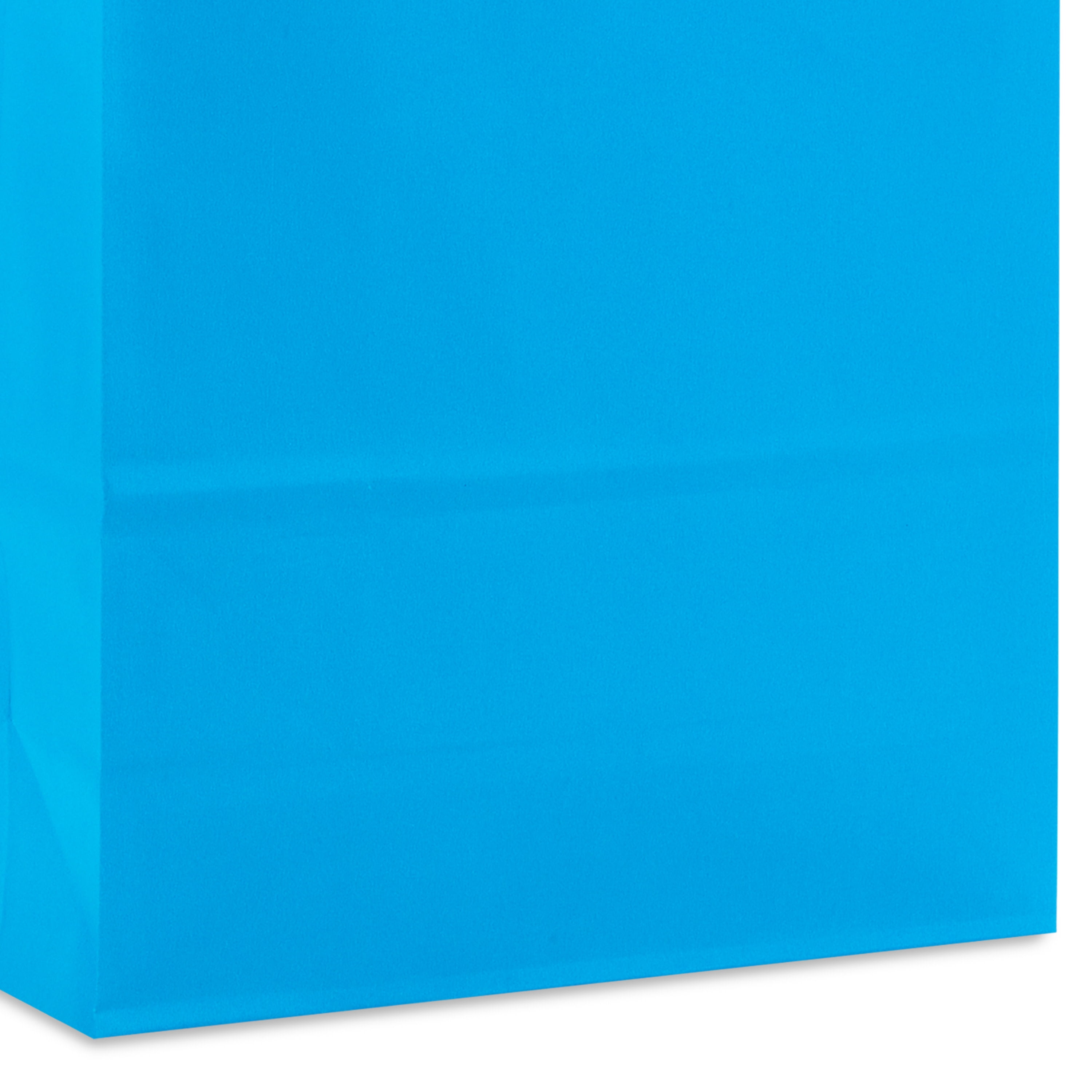 Hallmark Medium Gift Bag (Solid Blue)