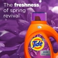 thumbnail image 6 of Tide plus Febreze Freshness Spring And Renewal Scent HE Turbo Clean Liquid Laundry Detergent, 46 oz, 29 loads, 6 of 9