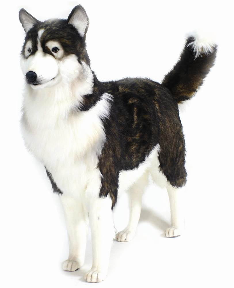 Life Size Adult Husky Dog Plush Stuffed Animal In Black Beige Walmart Com Walmart Com