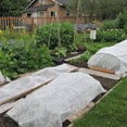 thumbnail image 3 of Reusable Garden Frost Protection Blanket Non Woven Winter Plant Protection Cover 2 X 10M, 3 of 9