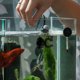 thumbnail image 4 of 28 pinzas de ventosa para calentador de acuario, soportes de fijación para varillas calefactoras de pecera, abrazaderas para suministros de acuario y terrario., 4 of 6