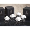 thumbnail image 2 of Tahitian Gardenia Illuminaria Porcelain Diffuser in Gray Bottle, 2 of 2