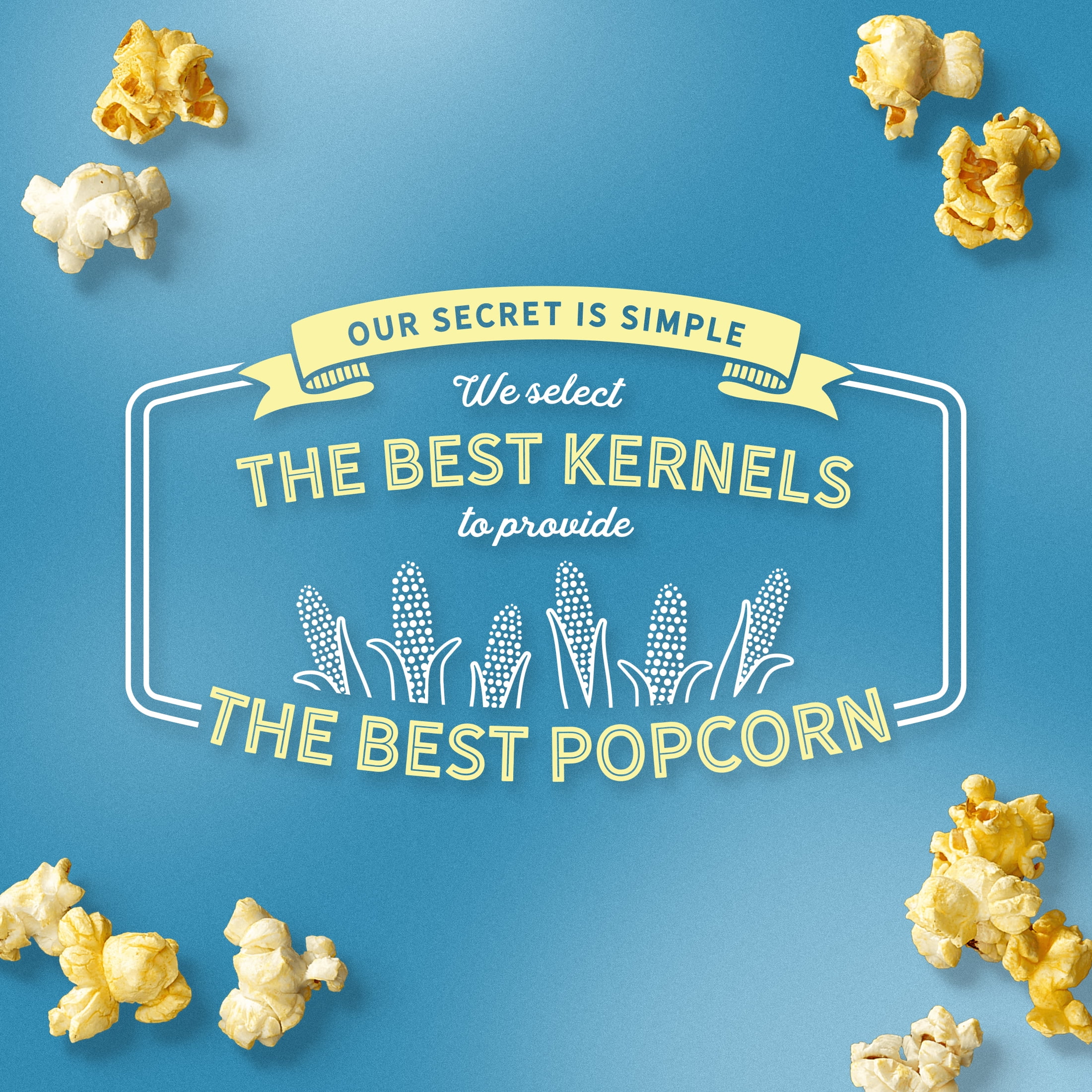AMC Theatres Microwave Popcorn 6ct, Lightly Salted