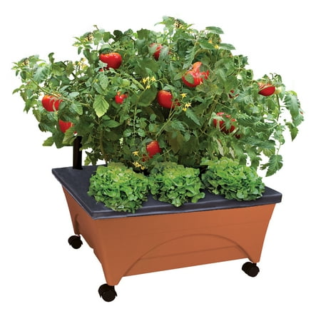 City Picker Raised Bed Grow Box - Self Watering and Improved Aeration - Mobile Unit with Casters