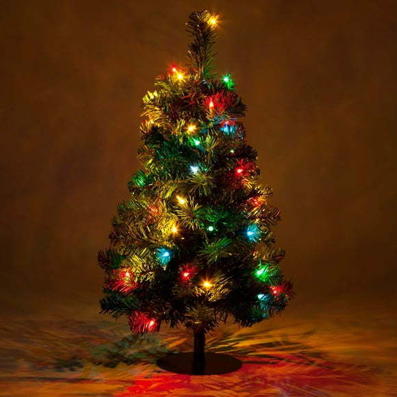 Outdoor Lighted Christmas Trees
