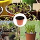 thumbnail image 4 of Maceta de jardinería con orificios de drenaje para propagación de suculentas, interior de color rojo ladrillo y oscuro, 100 unidades, maceta de vivero reutilizable y liviana para principiantes de, 4 of 4