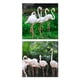thumbnail image 1 of Cuadros Decorativos Flamingos Set 2 piezas Joss Design 30x30, 1 of 3