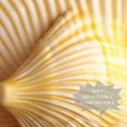 thumbnail image 3 of Shell Elegant Chiffon Yarn Hair Scarf | Breathable Silk Scarf for Women | Translucent Headscarf Wrap for Hair Styling - 180*73, 3 of 6