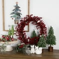 thumbnail image 2 of Northlight 18" Decorative Artificial Red Berry Christmas Wreath with Frosted Accents - Unlit, 2 of 7