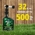 thumbnail image 6 of Lilly Miller Moss Out! for Lawns Liquid Moss Killer Herbicide, 32 oz. 1 RTS Bottle, 6 of 9