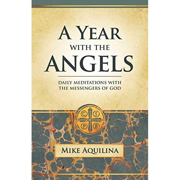 Pre-Owned A Year With the Angels (Paperback)