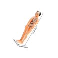 thumbnail image 2 of PAMINGONO 1 Set Anatomy Models Human Body 3D Human Anatomy Puzzle crafted from Plastic for Spatial Thinking, 2 of 7