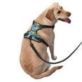 thumbnail image 2 of Haiem Crocodile Riding Skateboard Pattern No-Pull Dog Harness Reflective Front Clip Vest with Handle,Step-in Air Dog Harness,Adjustable 2 Metal Rings 4 Buckles-Medium, 2 of 6
