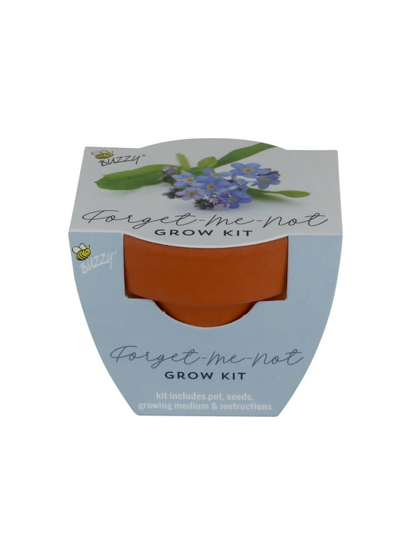 Buzzy Forget-Me-Not Flower Grow Kit Mini Terracotta Pot Item 97387